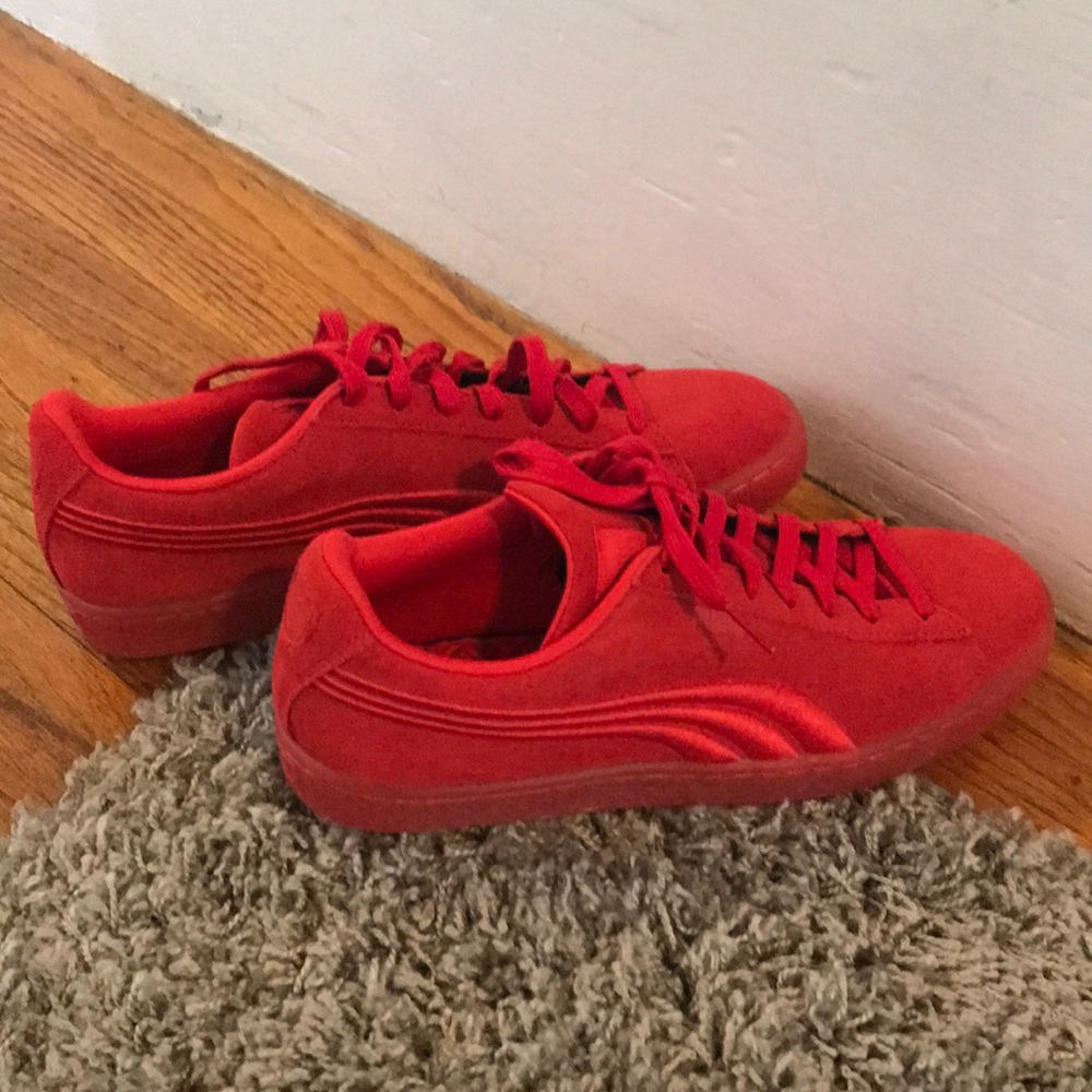 Red pumas